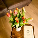 Bb De Rohan Bed & Breakfast Zebbug (Southern Region)