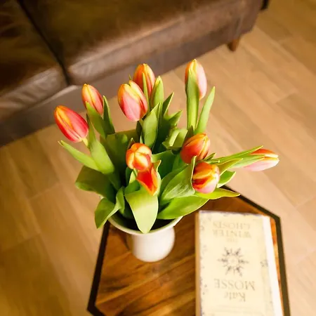Bb De Rohan Bed & Breakfast Żebbuġ