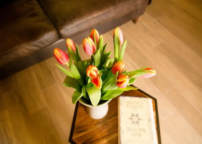 Bb De Rohan B&B Żebbuġ